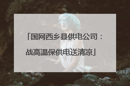 国网西乡县供电公司：战高温保供电送清凉